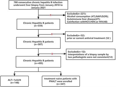Effect of the change in antiviral therapy indication on identifying significant liver injury among chronic hepatitis B virus infections in the grey zone